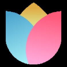 😃打成一片�！開拓者官媒曬楊瀚森學習美國俚語的視頻